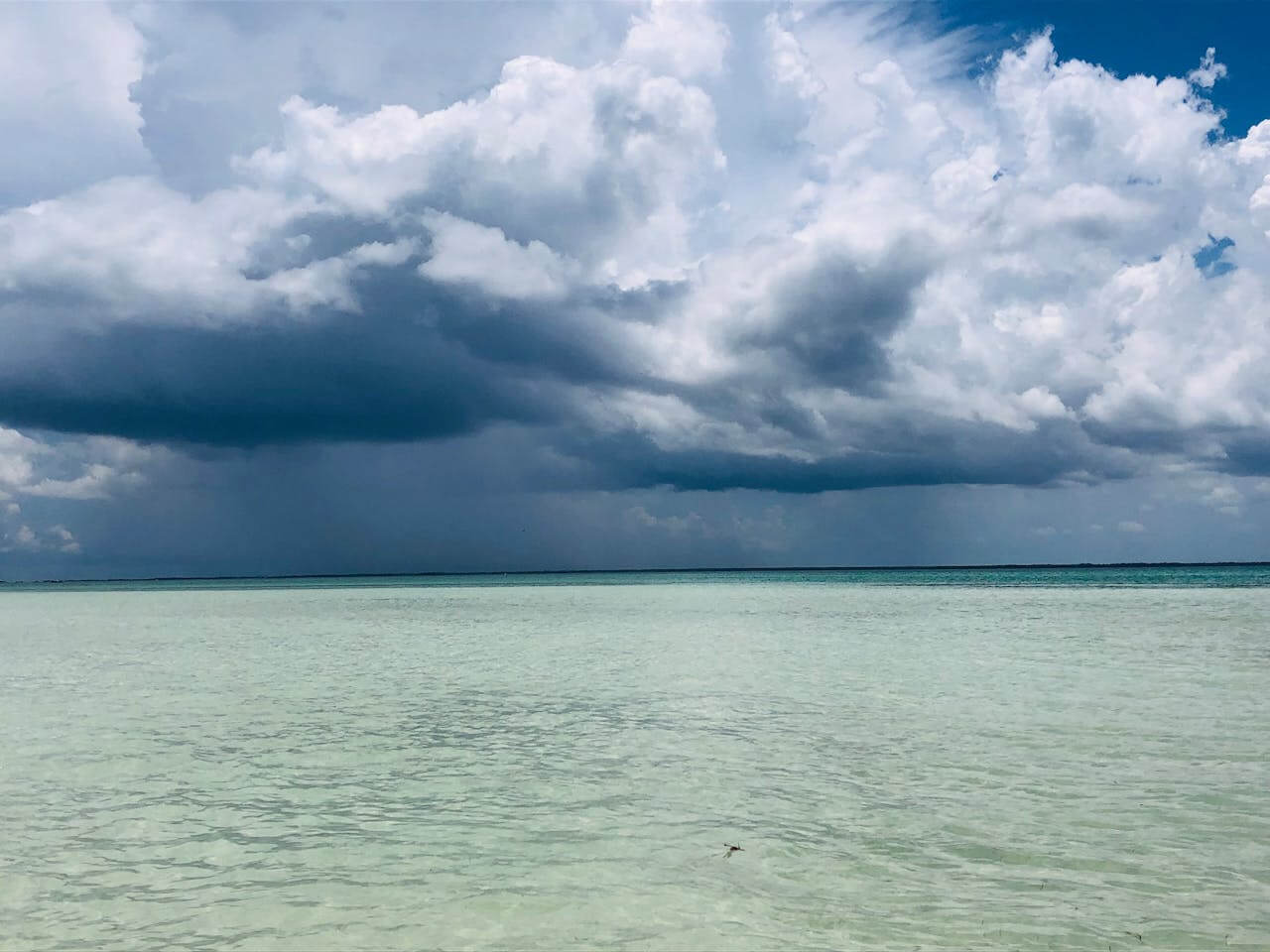 Nevreme u Halkidikiju – obaveštenje za građane – Osiguranik.com