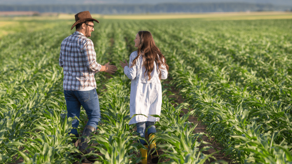 Osiguranje useva i plodova – kako da vas prirodne nepogode ne iznenade?