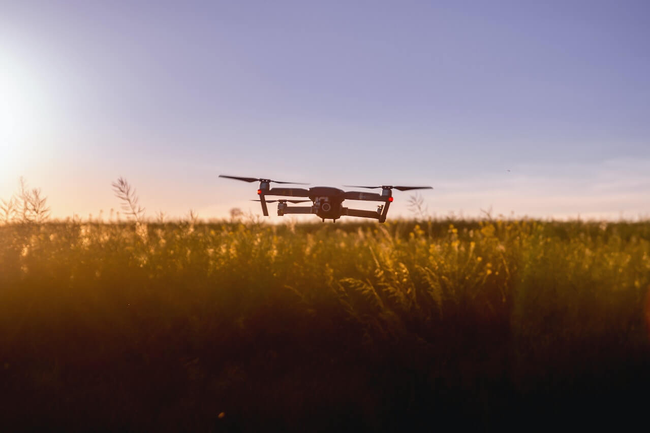 dron u letu iznad trave
