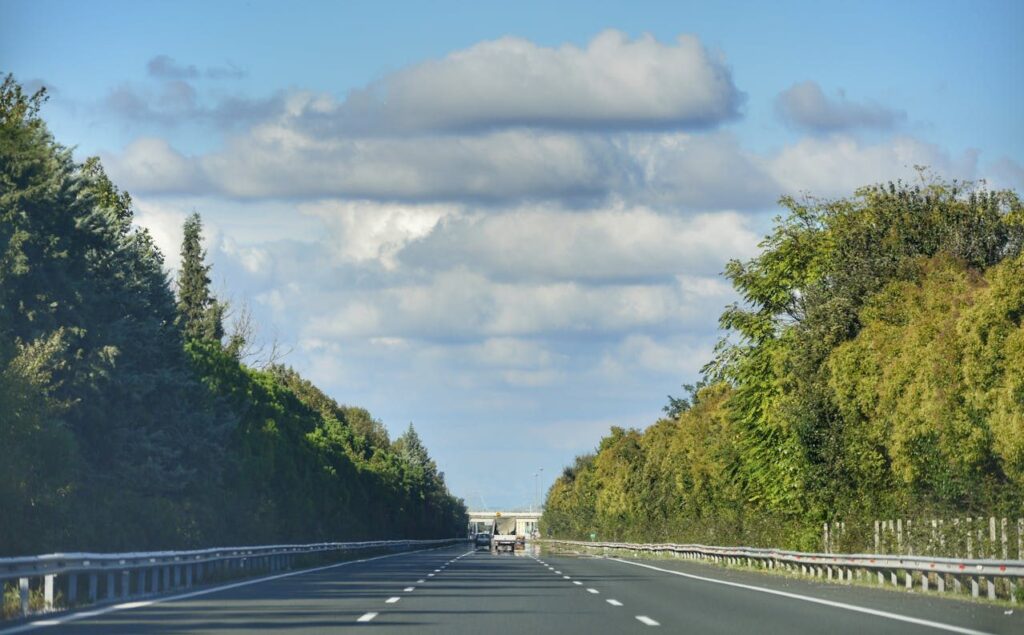 Put sa tri trake okružen šumom